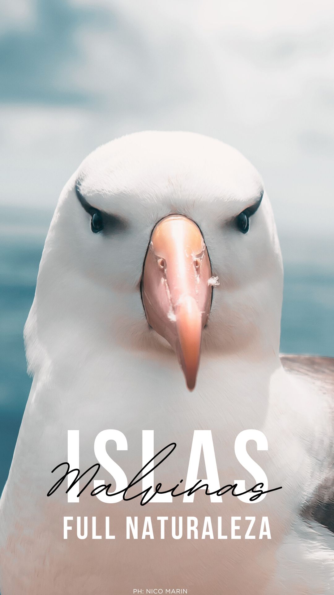 Malvinas Full Naturaleza